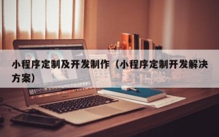 小程序定制及开发制作（小程序定制开发解决方案）